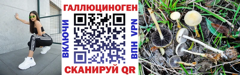Псилоцибиновые грибы мицелий  цены наркотик  Юрга 